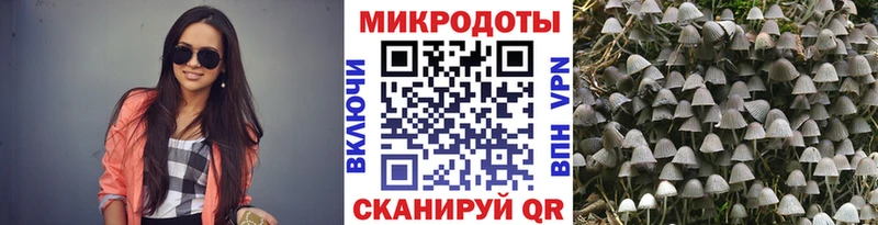 Купить  Бор  Галлюциногенные грибы мицелий 