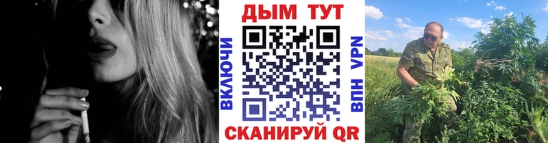 Шишки марихуана OG Kush  Купить закладки  Бор 